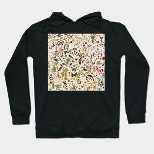 Biology of America USA Hoodie